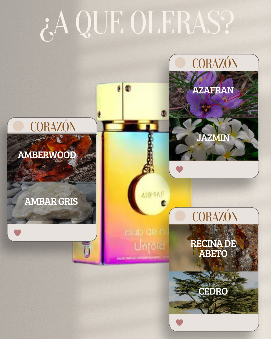 CLUB THE NUIT UNTOLD + PERFUMERO