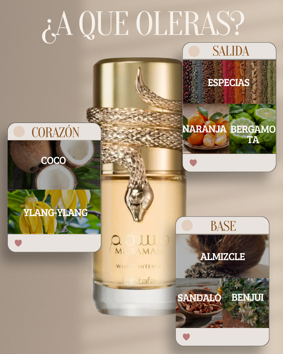 MUSAMAN WHITE INTENSE EN COFRE + REGALO