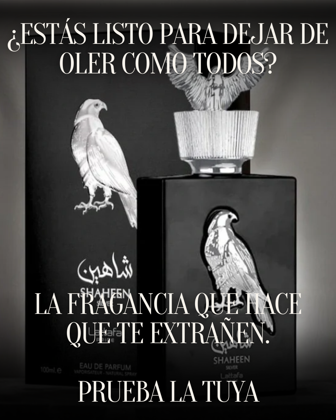 SHAHEEN SILVER ESTUCHE + REGALO ESPECIAL