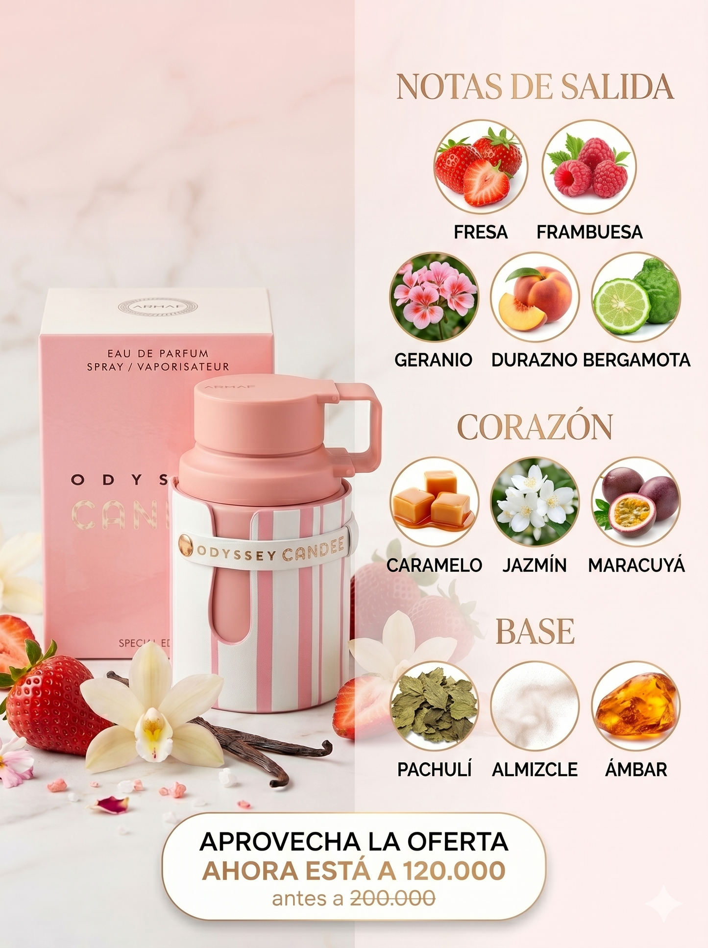 ODDYSEY CANDY + PERFUMERO